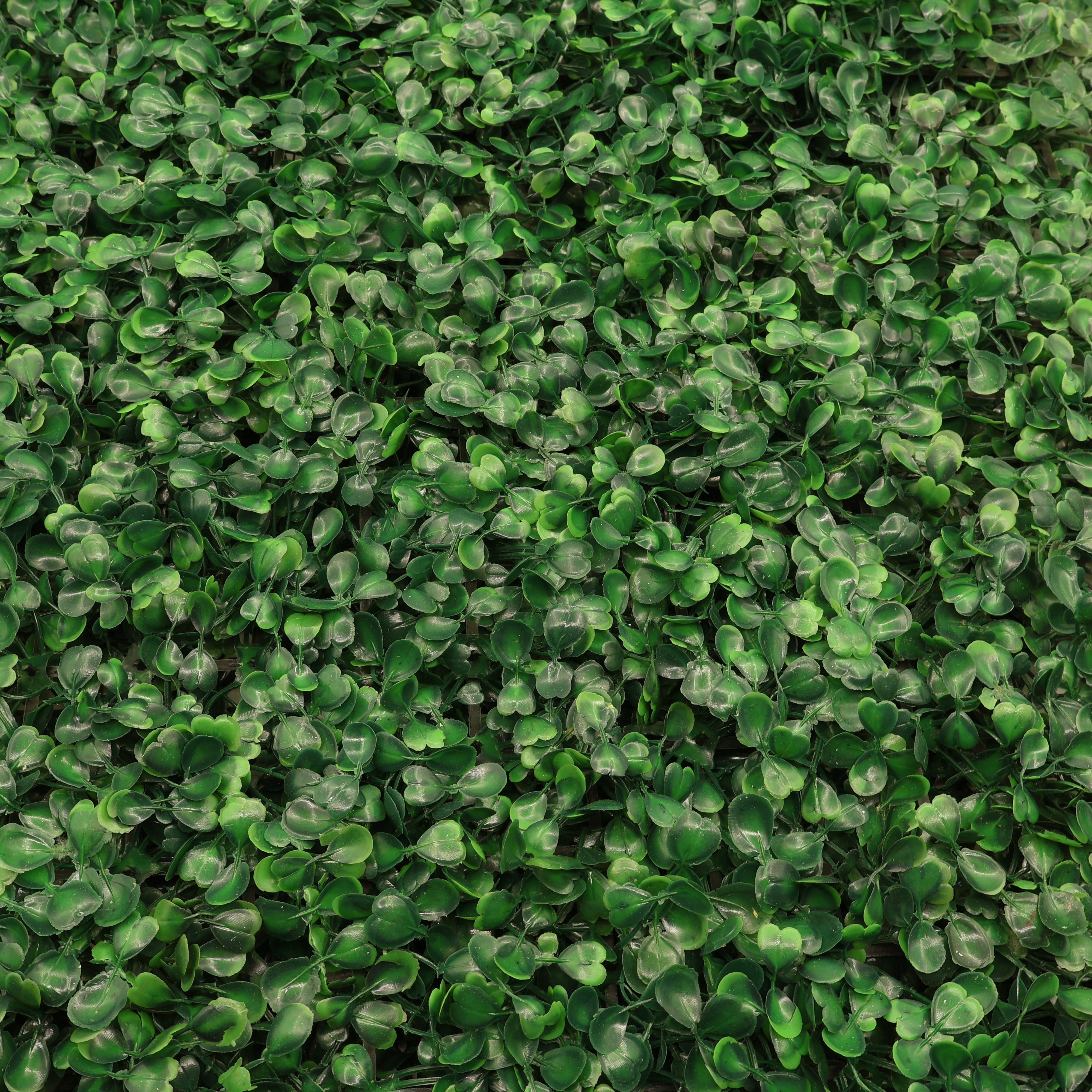 Panou decorativ verdeață "Trifoi verde" M26-300, plastic, 60 x 40 cm